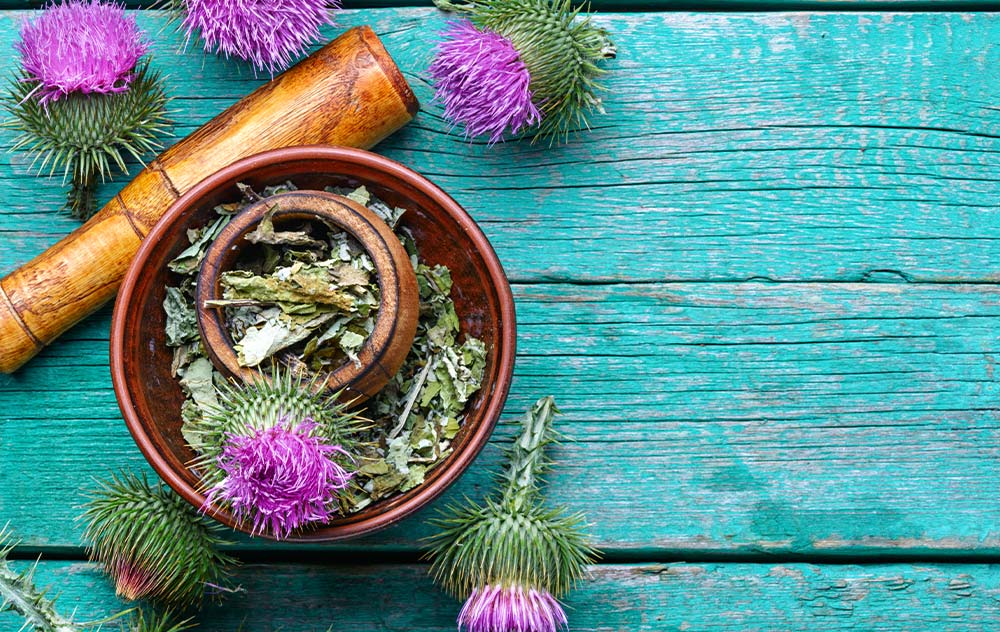 Nährstoffe für die Leber - Mariendistel