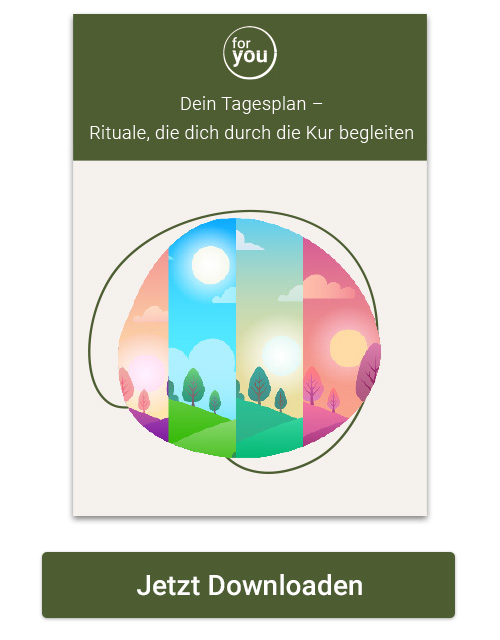 Download: Leberreinigung Tagesplanung