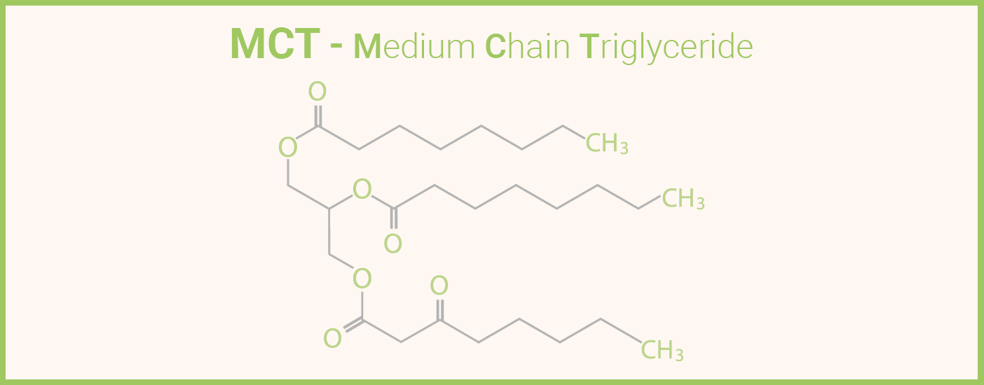 Infografik: Was ist MCT Öl?
