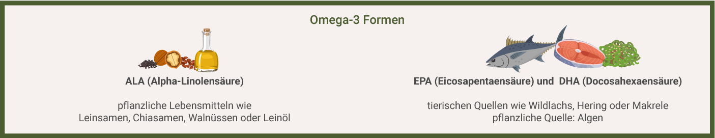 Omega-3 Formen Omega-3 Formen
