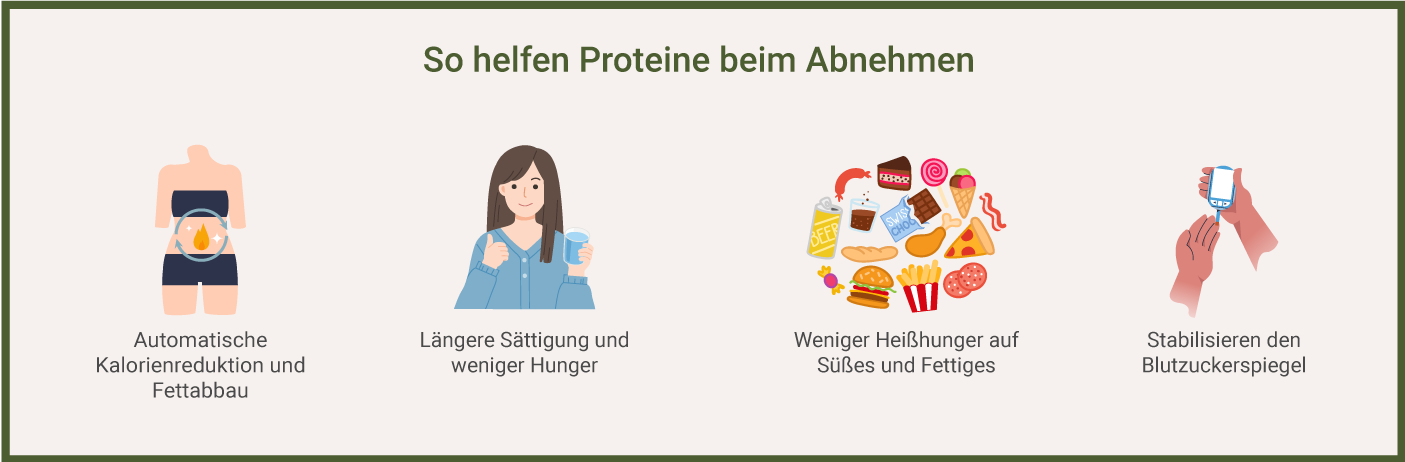 Proteine und Abnehmen