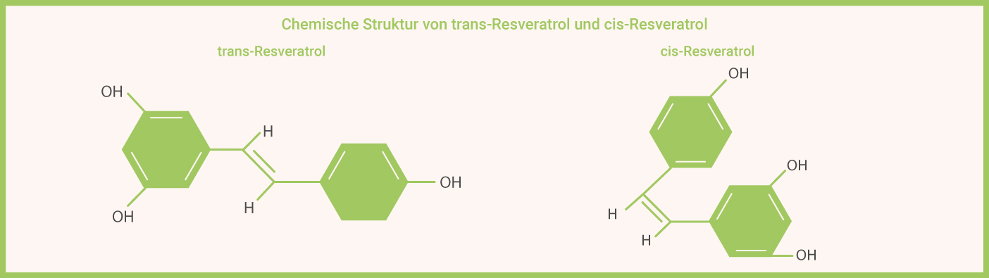 Resveratrol - Chemische Strukturen Infografik: Resveratrol - Chemische Strukturen