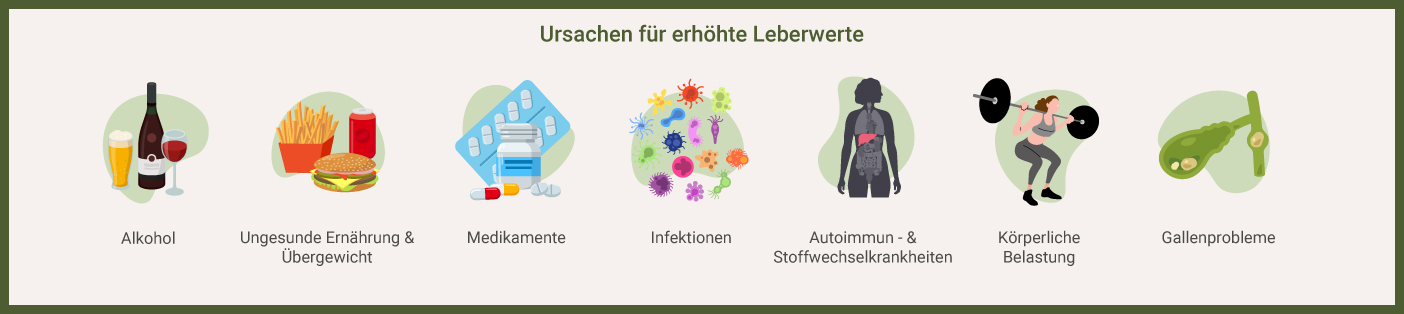 Infografik: Ursachen erhöhter Leberwerte
