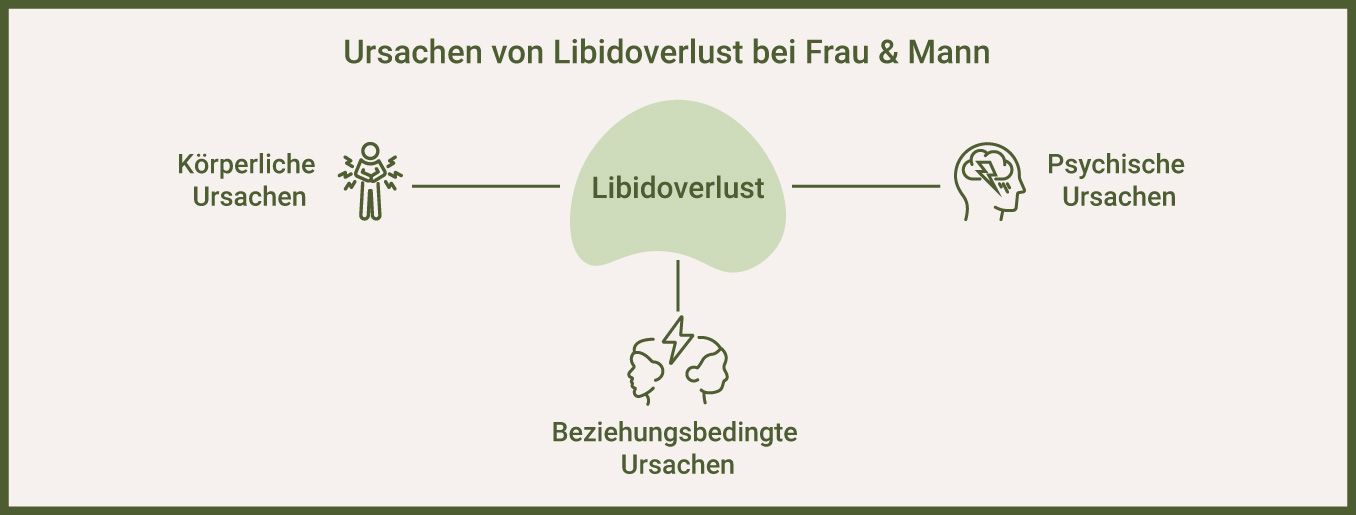 Ursachen Libidoverlust - als Infografik