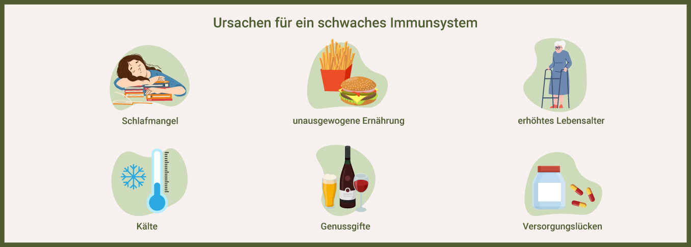 Schwaches Immunsystem Ursachen - als Infografik