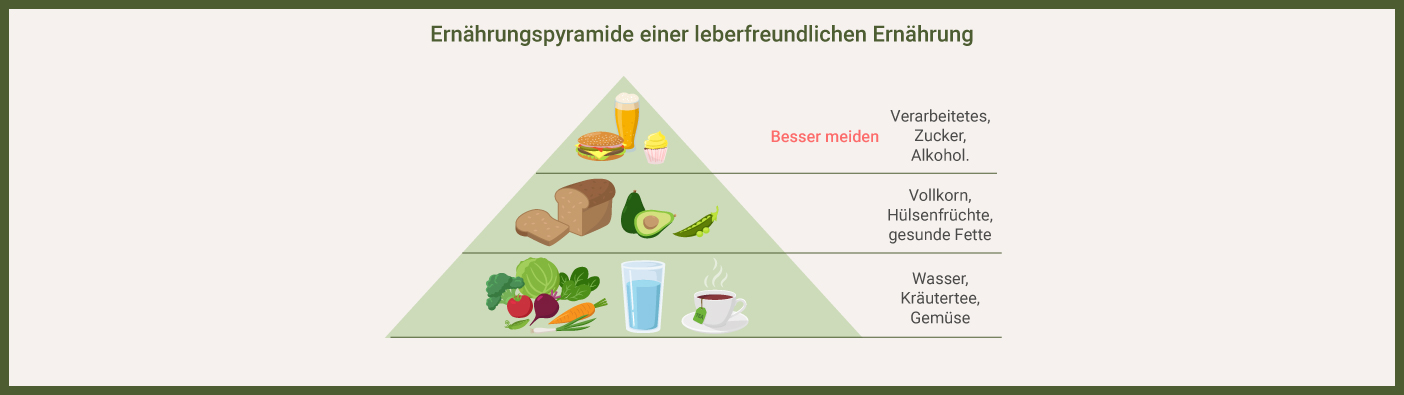 Leber Ernährungspyramide Infografik: Leber entgiften Ernährungspyramide