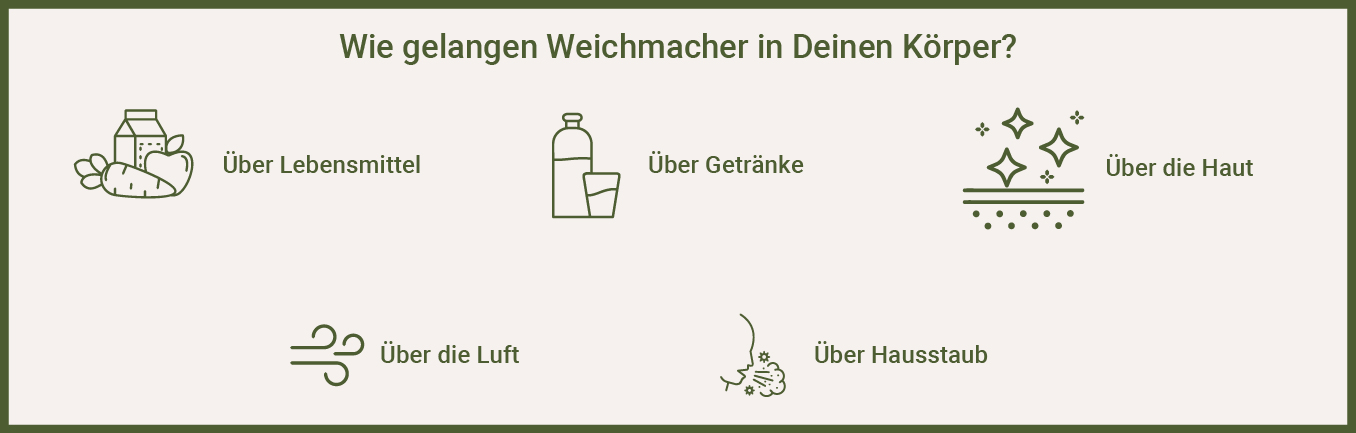 Infografik zeigt, wie Weichmacher in den Körper gelangen