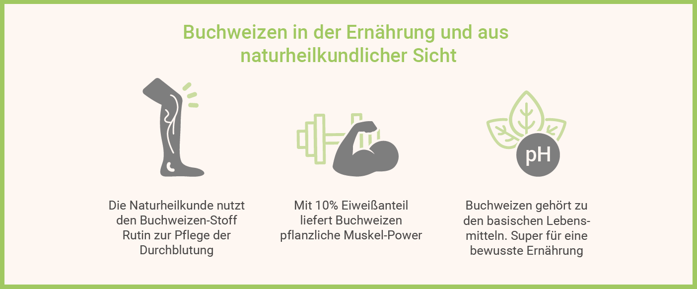 Buchweizen in der Ernährung und aus naturheilkundlicher Sicht Infografik: Buchweizen in der Ernährung und aus naturheilkundlicher Sicht