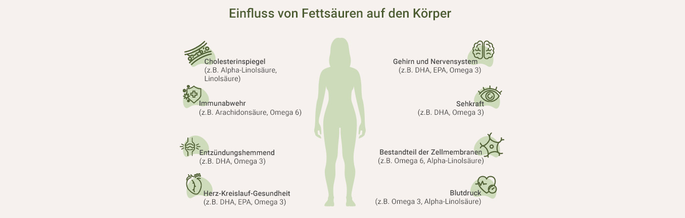 Omega 3 Bluttest, Einfluss Fettsäuren - als Infografik