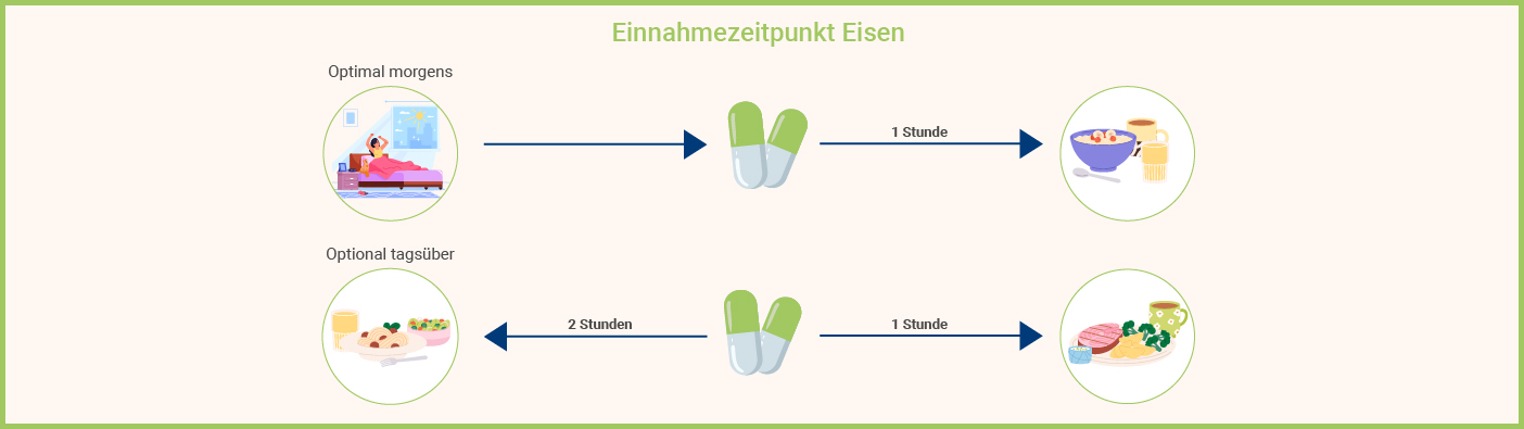 Eisen einnehmen - Einnahmezeitpunkt