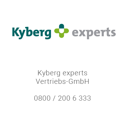 Vertriebspartner Kyberg experts