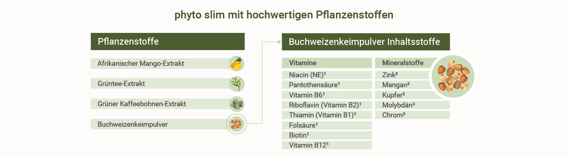 phyto slim - Pflanzenextrakte