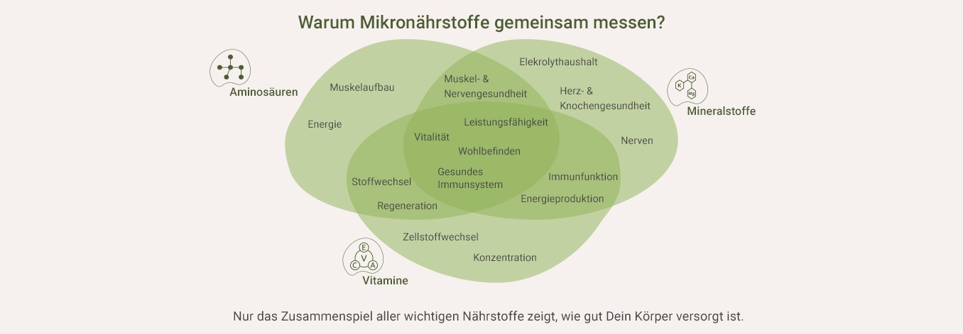 Ganzheitliche Messung von Mikronährstoffen als Infografik
