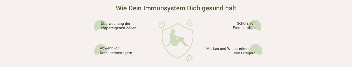 Immunsystem Test - Aufgaben von Immunsystem als Infografik
