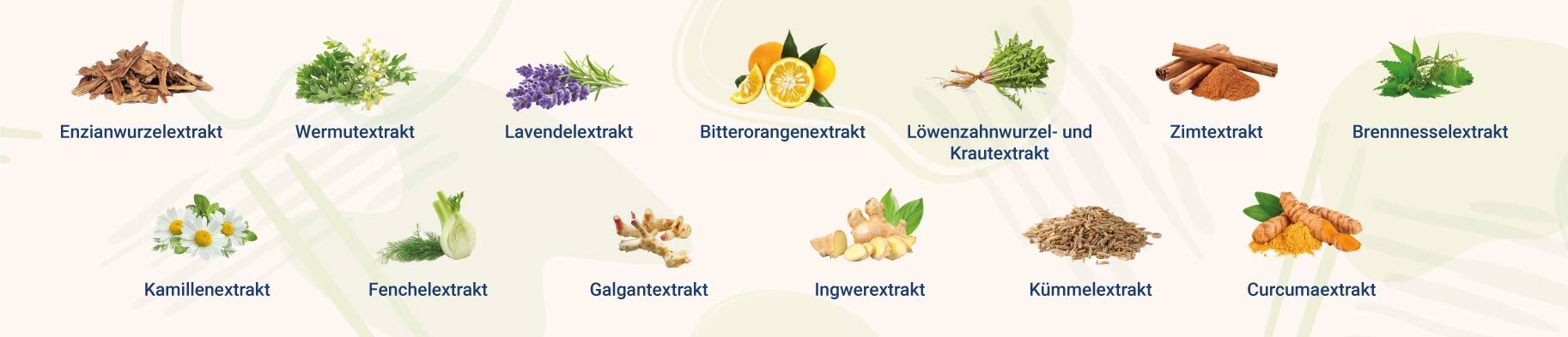 infografik-bittertropfen-mit-ausgewaehlten-Kraeuterextrakten