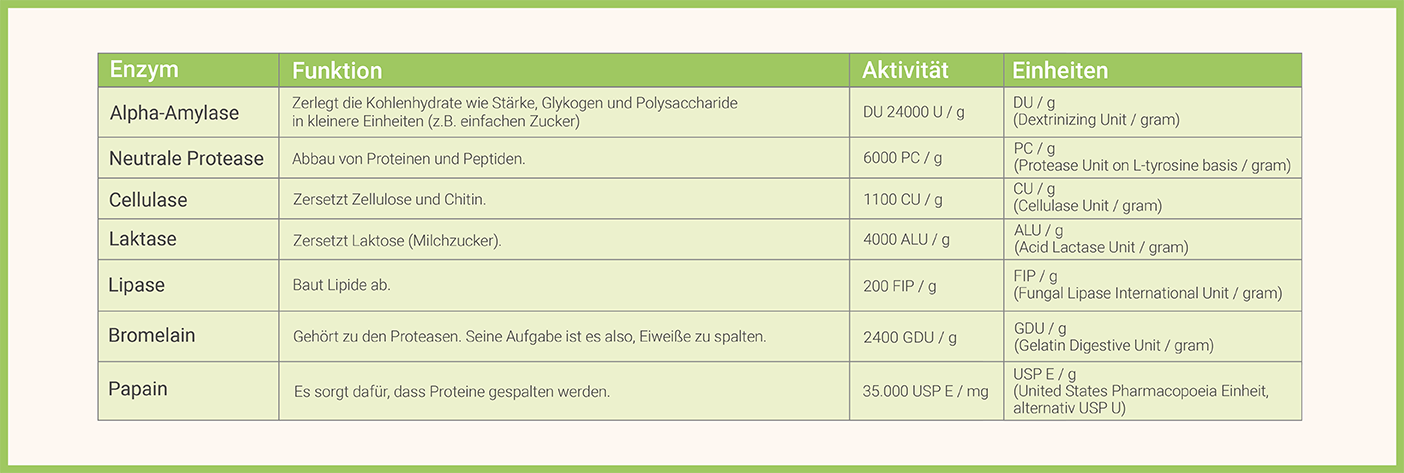 infografik-multi-enzym-komplex-aktivitaeten-und-funktion