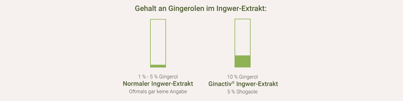 Ingwer Extrakt - Gingerole