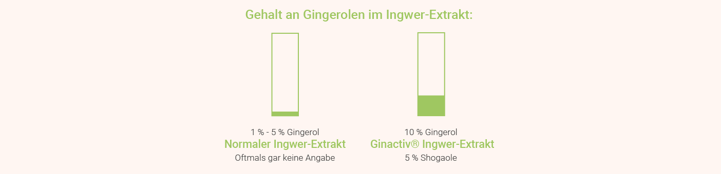 Gehalt an Gingerolen im Ingwer-Extrakt Ingwer Extrakt - Gingerole
