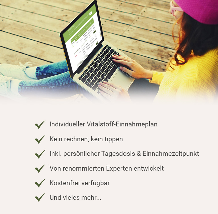 Einnahmeplan