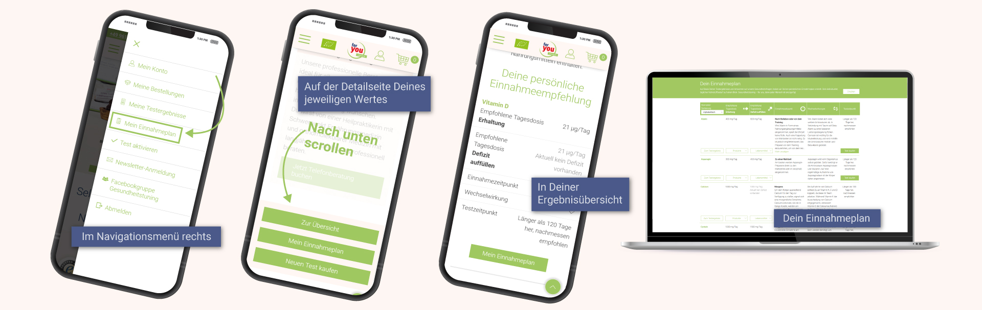 Einnahmeplan