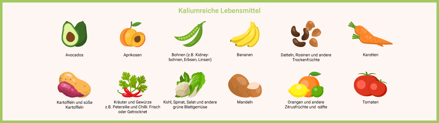 Lebensmittel mit hohem Kaliumgehalt Kalium einnehmen - Lebensmittel reich an Kalium