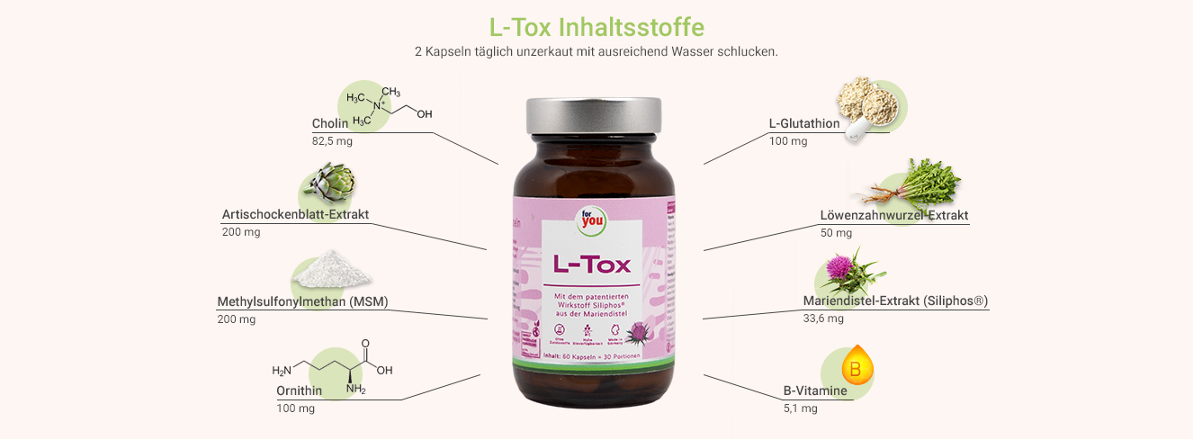 L-Tox - Cholin Extrakt Cholin Extrakt von for you