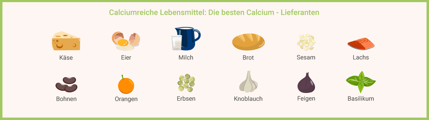 Calcium Einnahme - Lebensmittel reich an Calcium