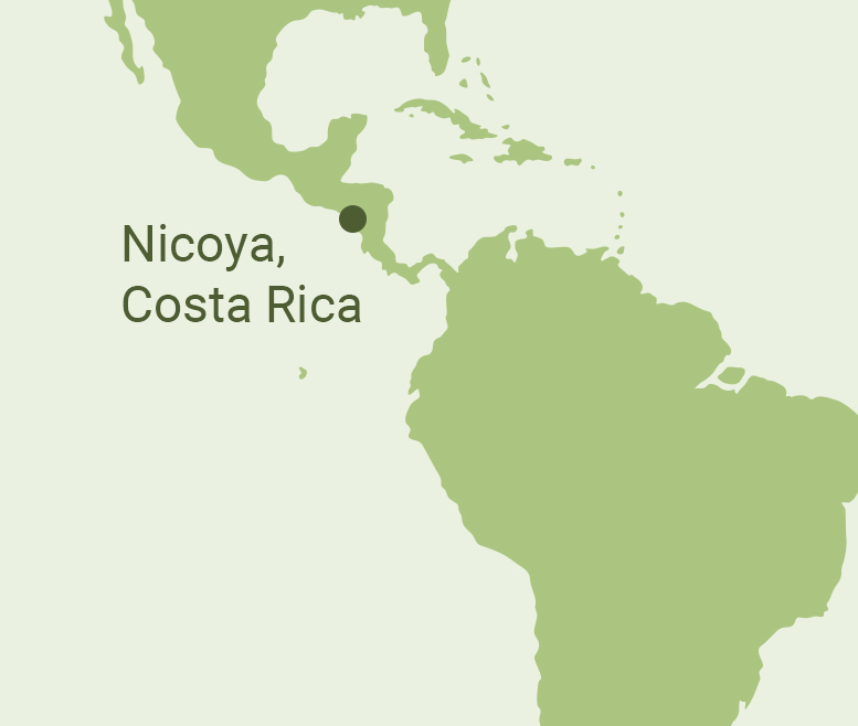 Longevity Blue Zone Nicoya Longevity Blue Zone Nicoya