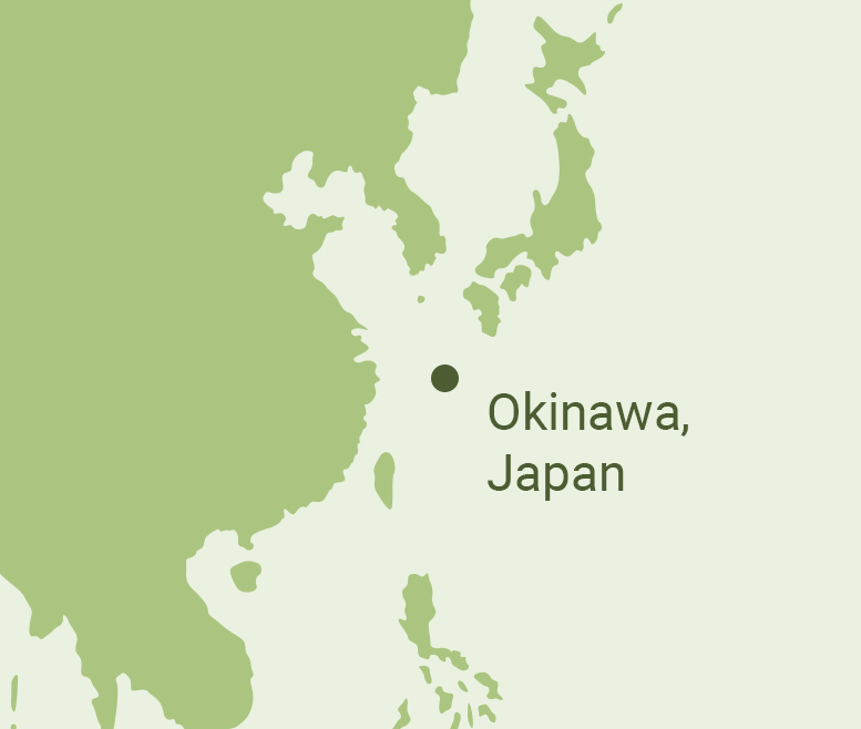 Longevity Blue Zone Okinawa Longevity Blue Zone Okinawa