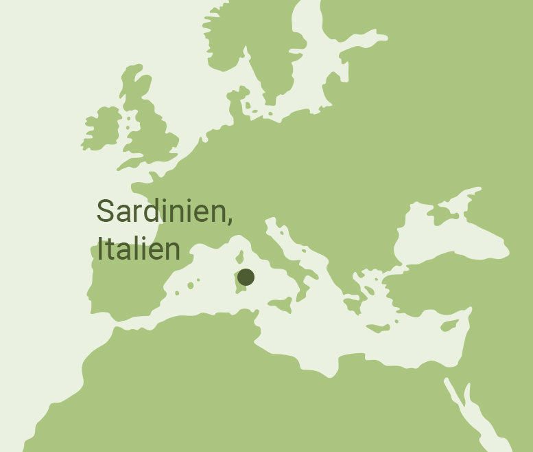 Longevity Blue Zone Sardinien Longevity Blue Zone Sardinien