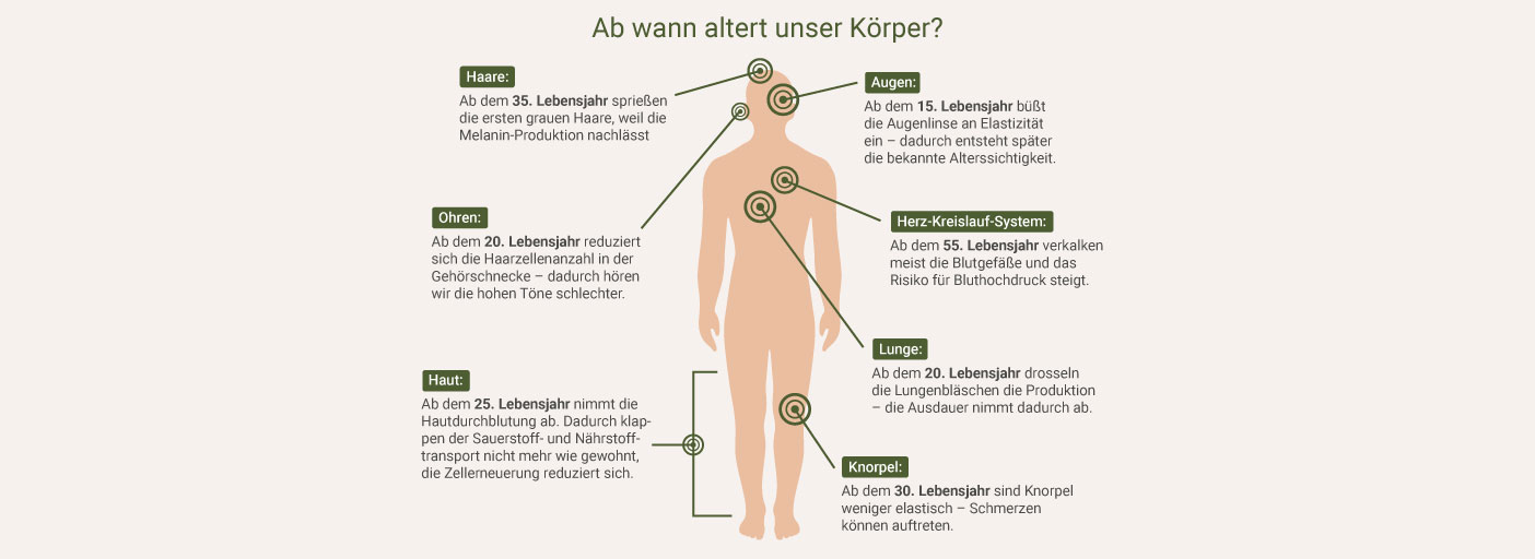 Ab wann altert unser Körper