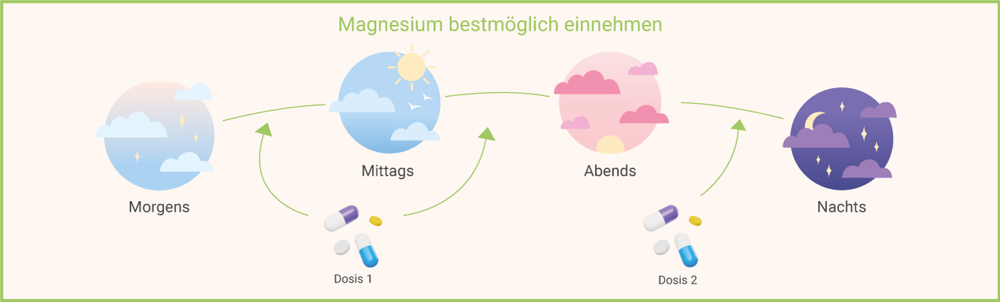 Magnesium-einnehmen-Tageszeitpunkt