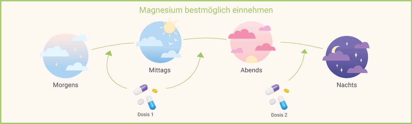 Zu dieser Tageszeit am besten Magnesium einnehmen Magnesium-einnehmen-Tageszeitpunkt