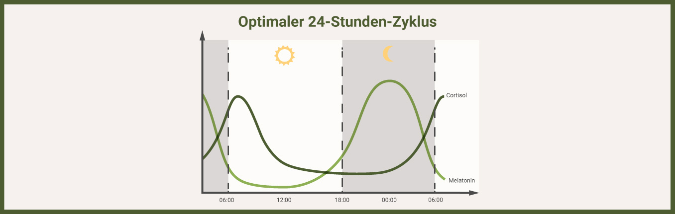 Optimaler 24-Stunden-Zyklus für Melatonin & Cortisol Test - als Infografik