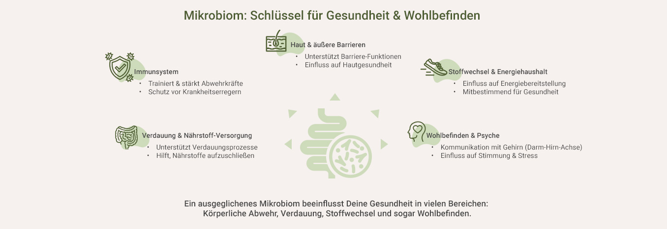 Mikrobiom Test - Schlüssel für Deine Gesundheit - als Infografik