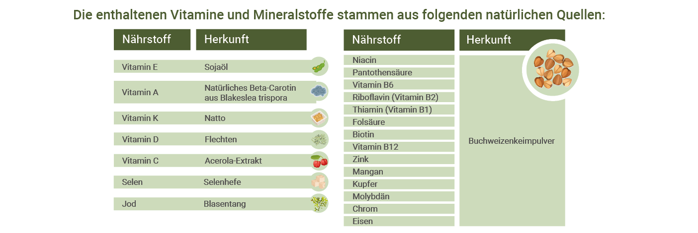 Multivitamin Kapseln mit natürlichen Inhaltsstoffen