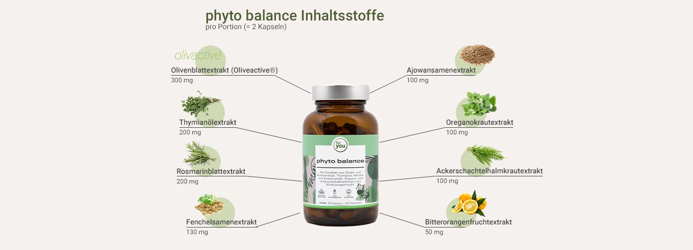 Darmflora Kapseln - phyto balance