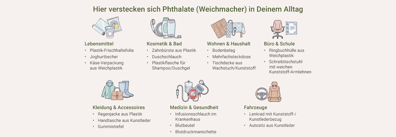 Überblick über Produkte aus Plastik als Infografik