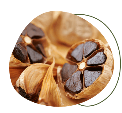 Antioxidativer Schwarzer Knoblauch-Extrakt Antioxidativer Schwarzer Knoblauch-Extrakt