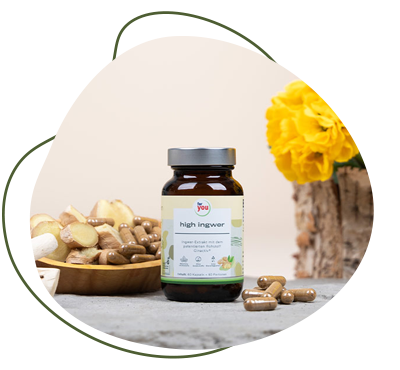 Ingwer-Extrakt Ginactiv® ingwer-extrakt-gingerole