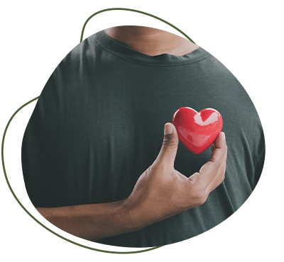 Kapseln unterstützen Herzgesundheit