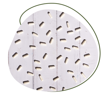 Krillöl Kapseln mit hochbioverfügbaren Omega 3