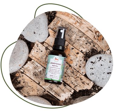 Zistrose Halsspray - entzündungshemmend Zistrose Spray - Rachenspray
