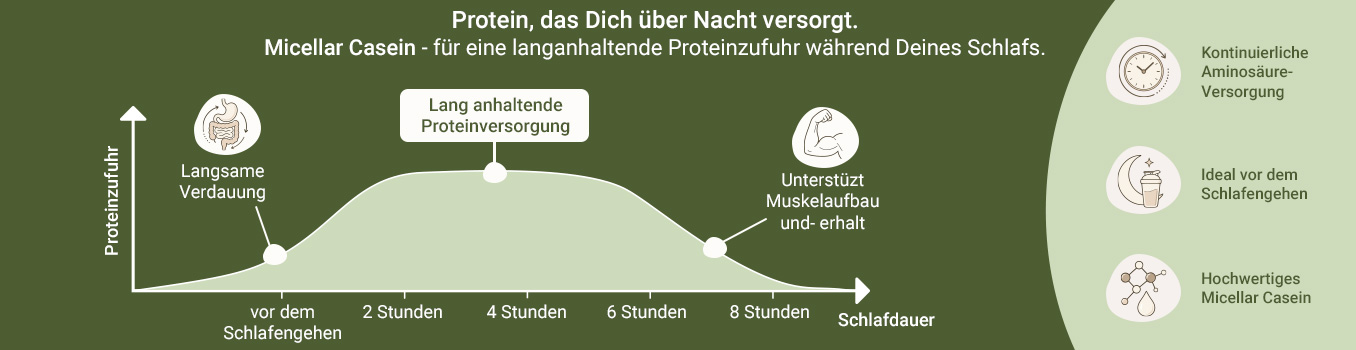Infografik zeigt die Vorteile von micellar casein protein