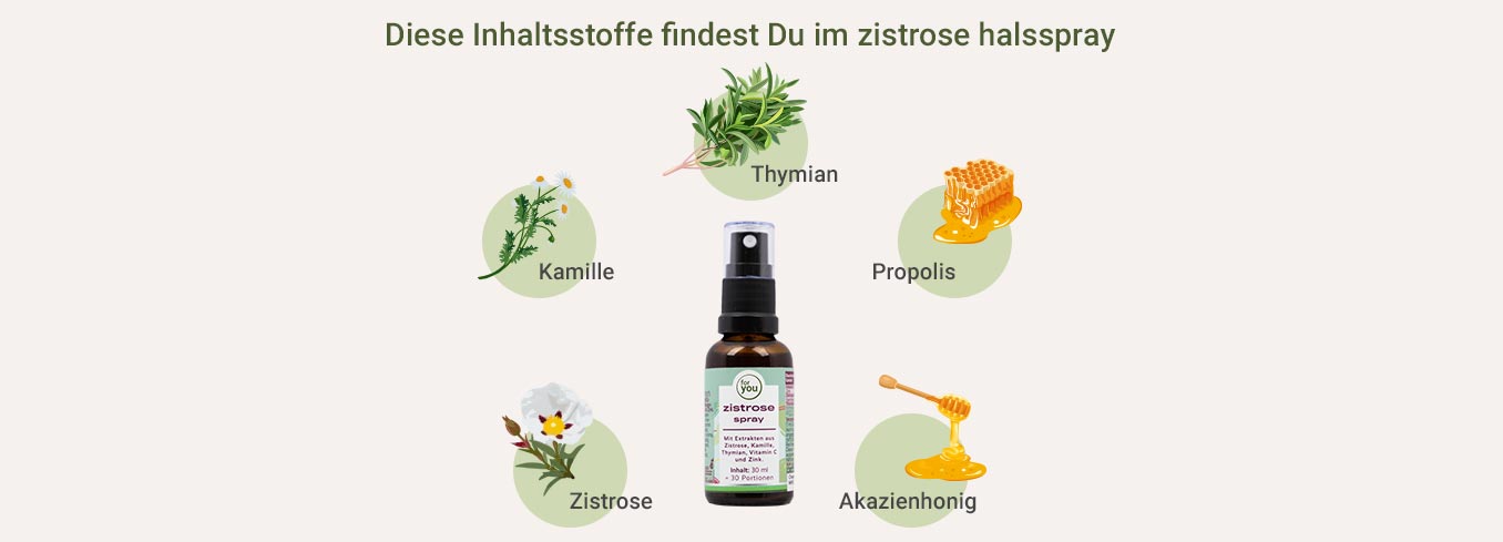 Zistrose Spray Inhaltsstoffe Rachenspray mit Zistrose