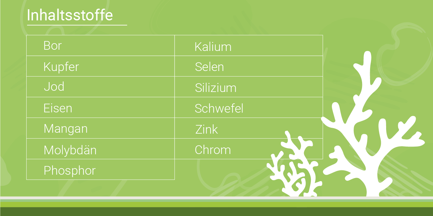 infografik-sango-koralle-inhaltsstoffe