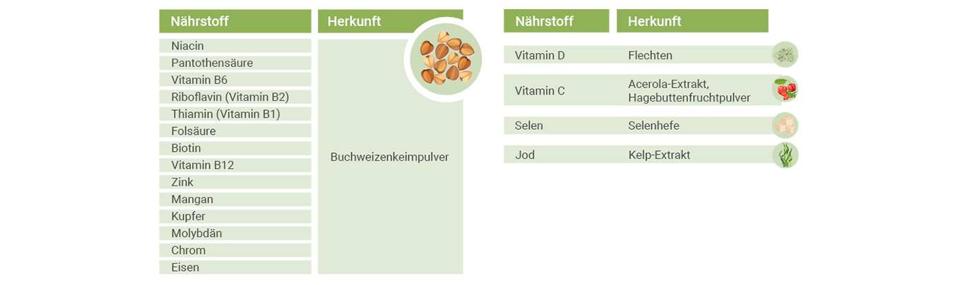 super greens Pulver - hochwertige Inhaltsstoffe