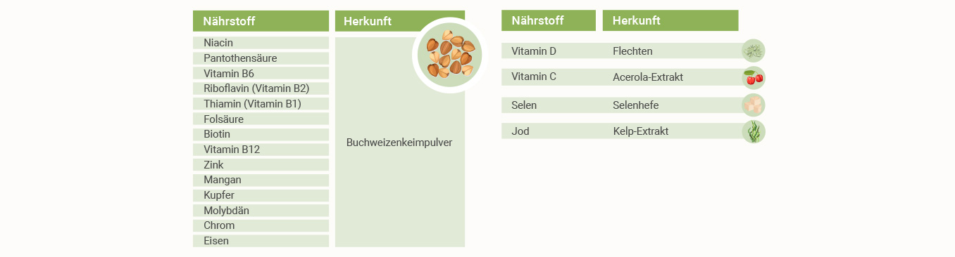 super reds Pulver - hochwertige Inhaltsstoffe
