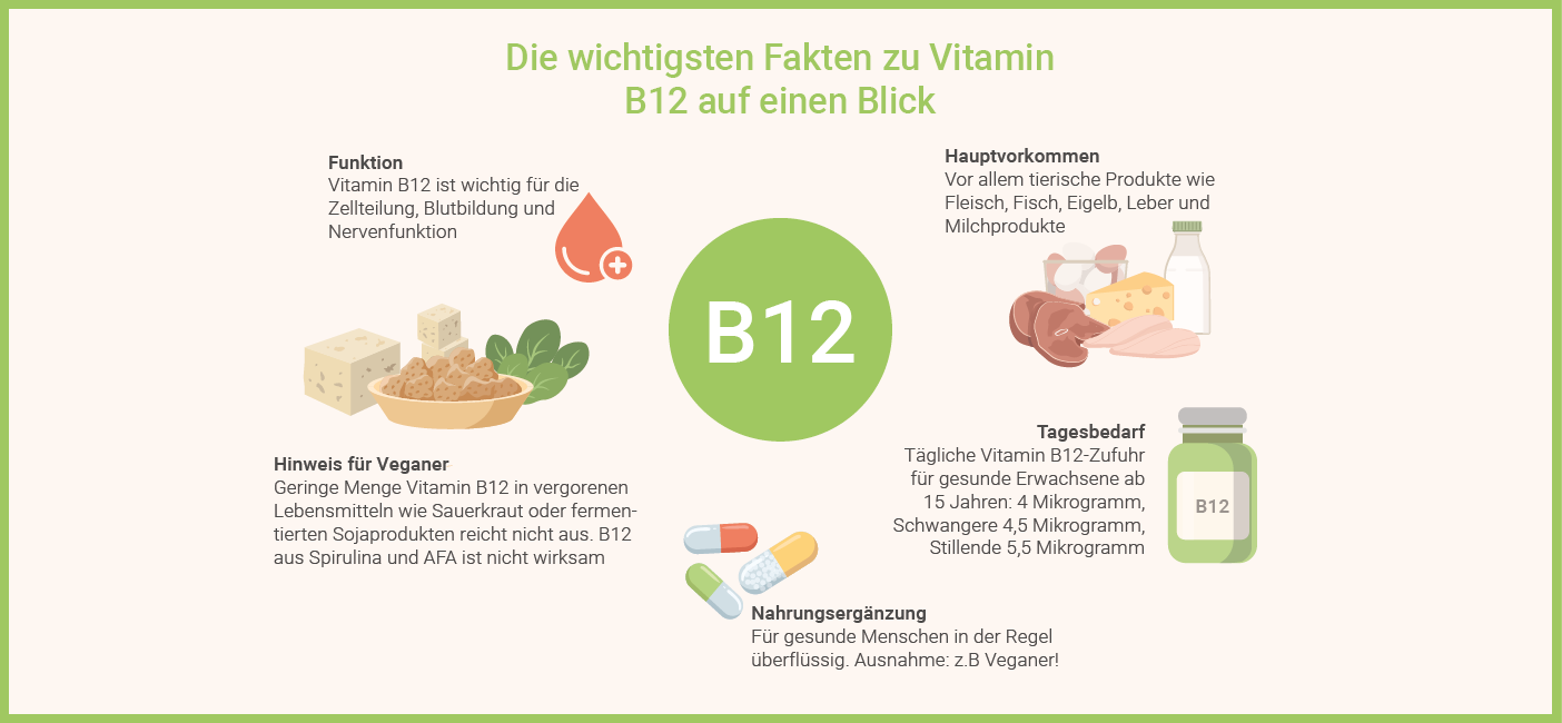 Vitamin B12 Tagesbedarf – Vitamin B12 Fakten