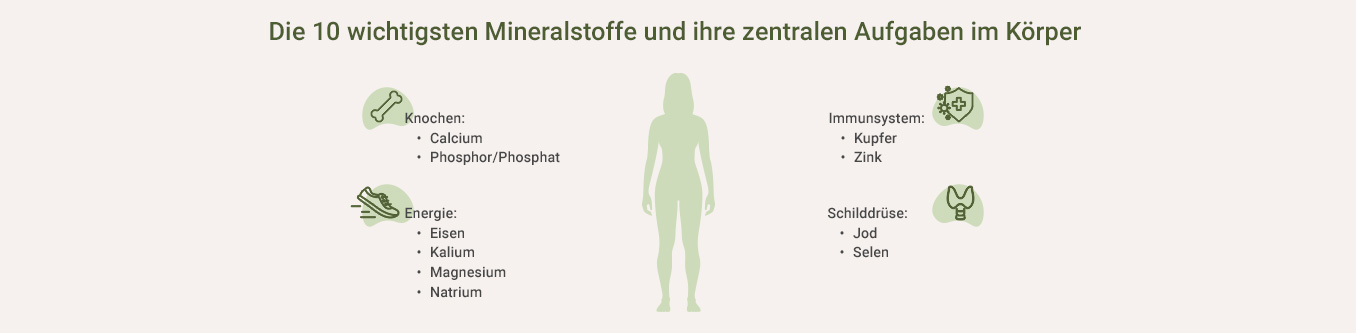 Mineralstoff Test - Wichtige Mineralstoffe als Infografik